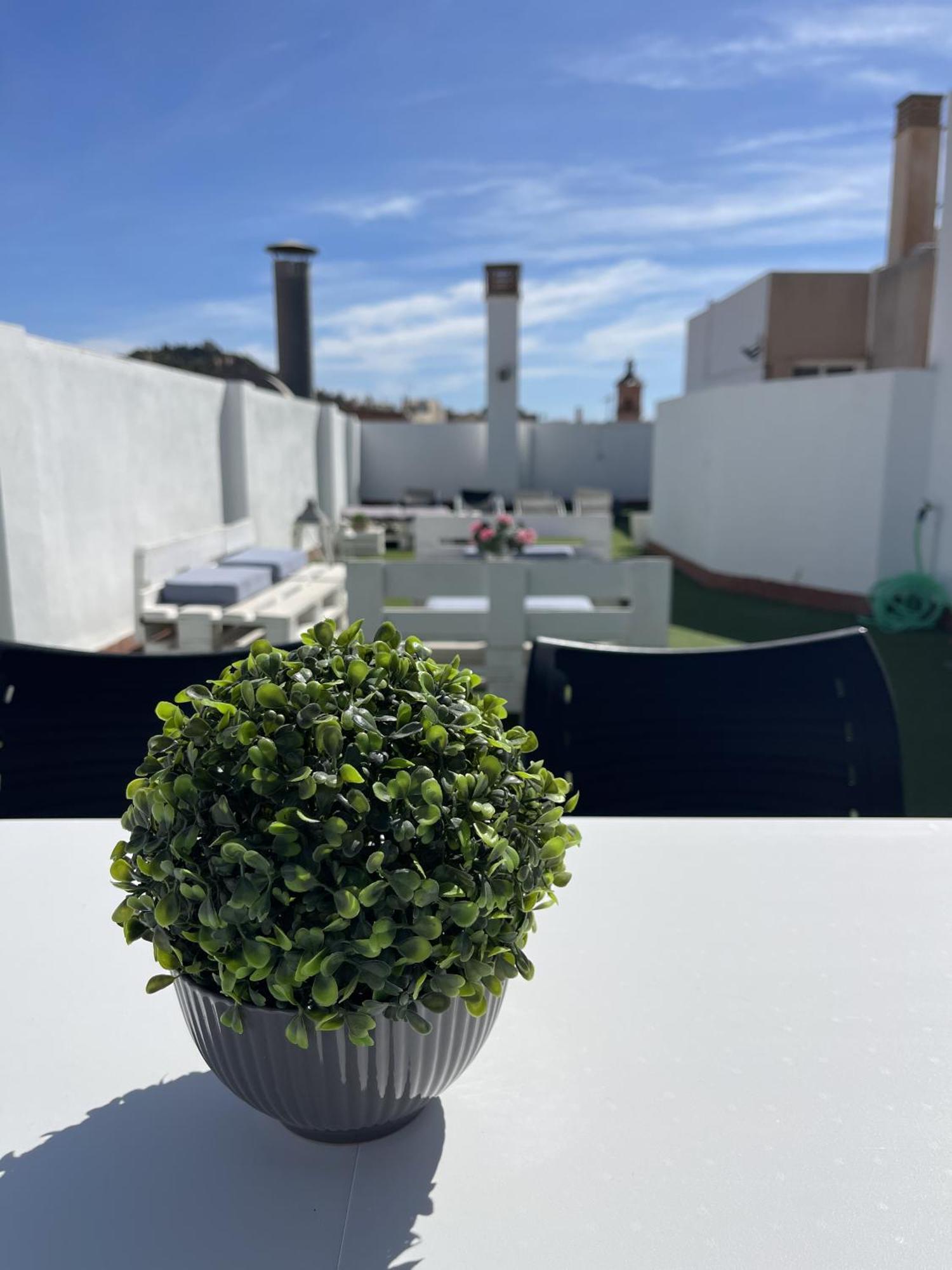 מאלגה San Rafael Terrace City Centre מראה חיצוני תמונה